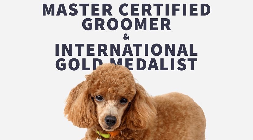 Dog Grooming Brampton Kleinburg B Pro Grooming